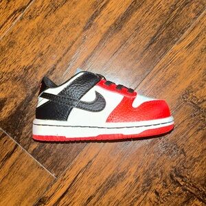 Nike dunk 5c